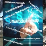 Umweltmanagement und Umweltgesetze
